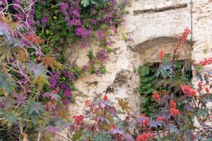 ionian-estates-mon-repos-suite (3)