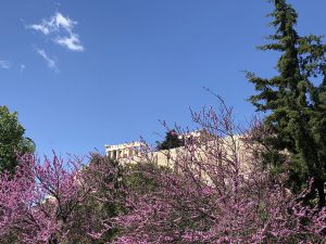 Luxury suite in Athens minutes from the Acropolis
